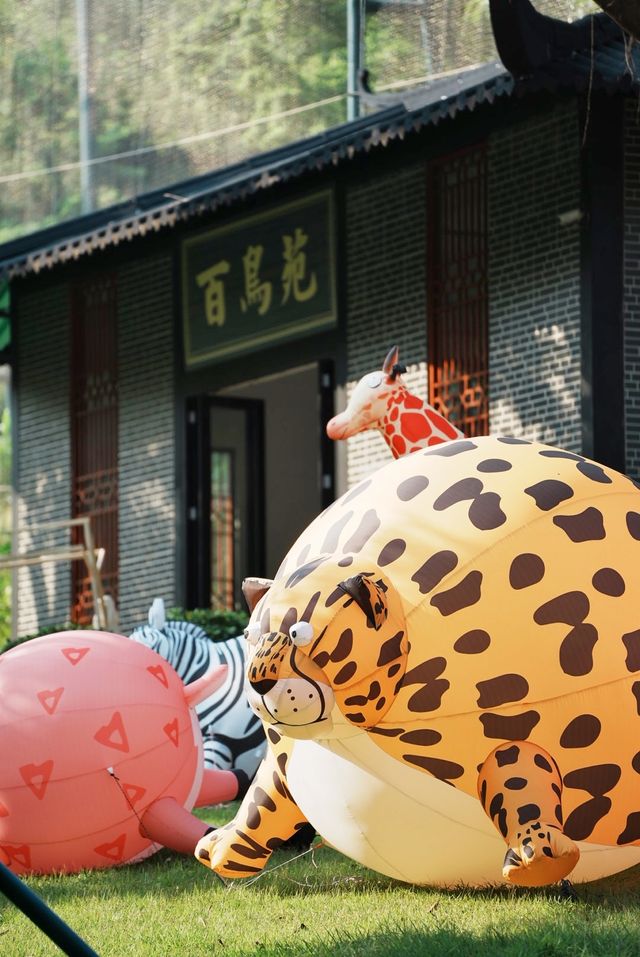 中山遊玩｜寶藏紫馬嶺動物園