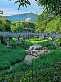 救命深圳這個藏在CBD的公園我可以躺一天