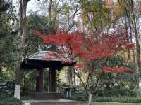 閔行體育公園—冬遊正當時