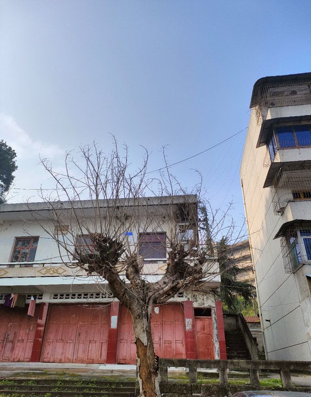 重慶旅遊｜抗戰小陪都-江津白沙古鎮