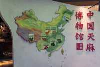 昭通彝良縣小草壩，峽谷飛瀑下的尋天麻之旅