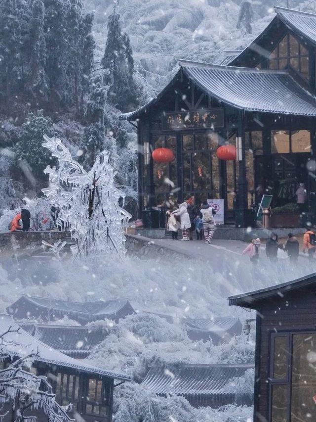 廣東也有自己的雪鄉 | 來雲冰山邂逅一場冰雪奇緣