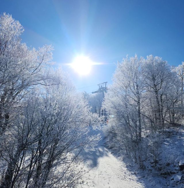 紐約周邊的隱藏版雪場：Belleayre，你的冬日樂園！