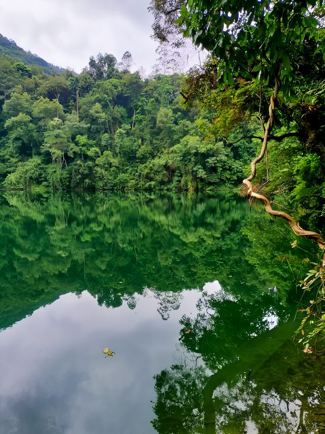 蒙自| 藏在山裡的“綠寶石”!如此美景怎能忍住不來!