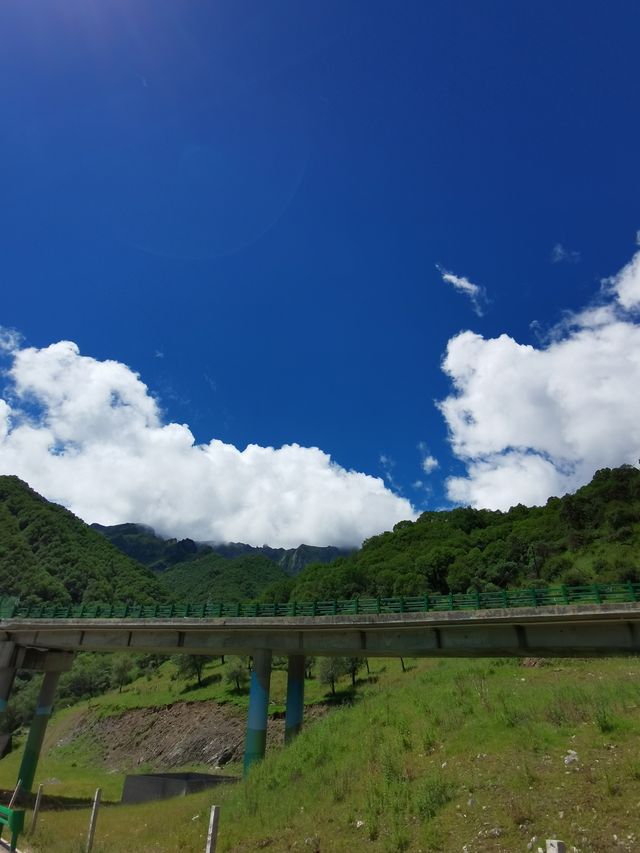 夏天和國慶去青海扎隆溝景區遊玩攻略