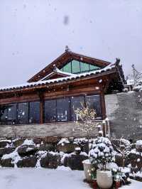 2024年的第一場雪，我在雨印茶坪看的