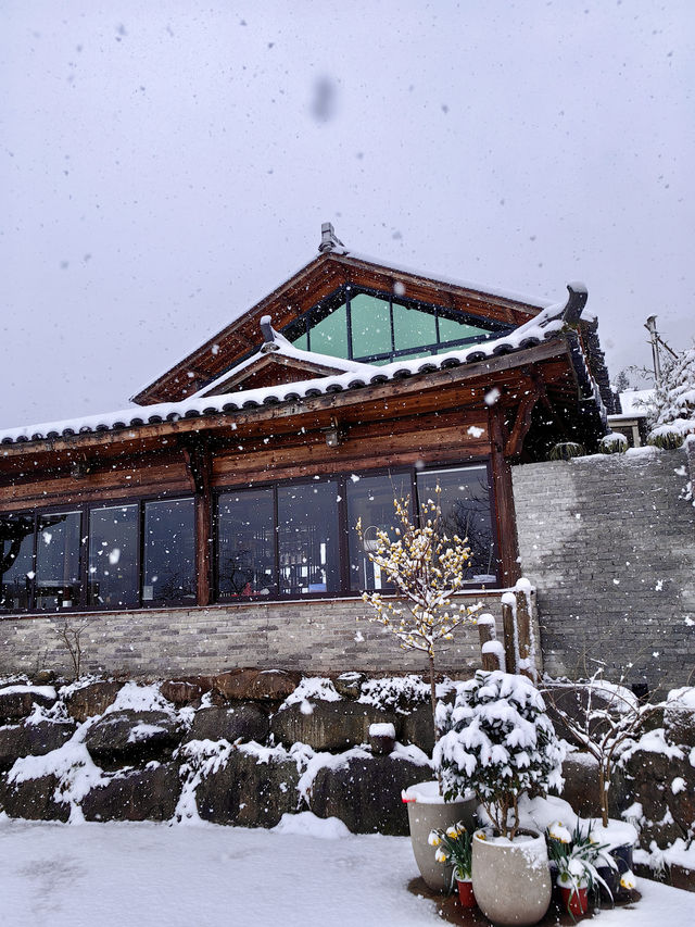 2024年的第一場雪，我在雨印茶坪看的
