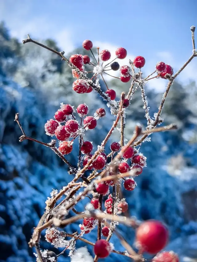 大雪紛飛的美麗