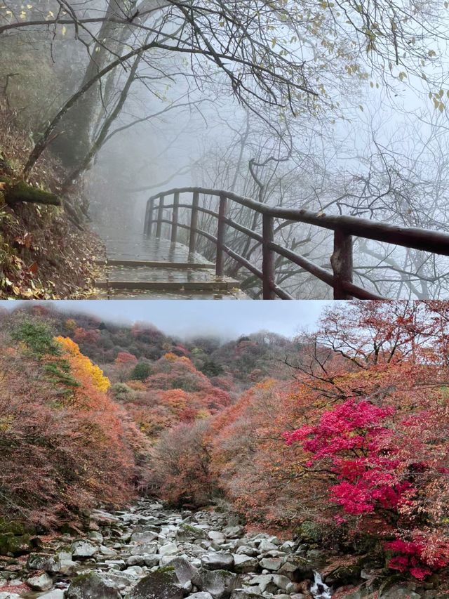 巴中·光霧山|夏日避暑勝地!!