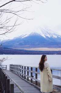 又是花式看富士山的一天，依然是選擇了包車一日遊，因為冬天天黑得早，我們選擇了7點就從東京開車出發了