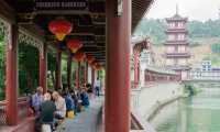陇南小眾景點|碧口古鎮|周末遊|蘭州出發這是一個每個人都很快樂的小鎮有著超多的小狗 而且每條小狗都很
