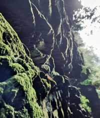 百崖大峡谷，位於廣西來賓市武宣縣東鄉鎮境內，距武宣縣城38公里，是廣西區級風景名勝區，有“廣西九寨溝”之稱