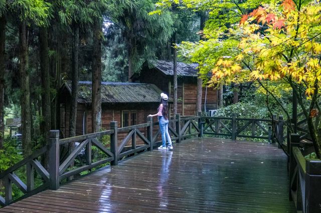 在雨中漫步恩施坪壩營，感受北緯30度的神秘美