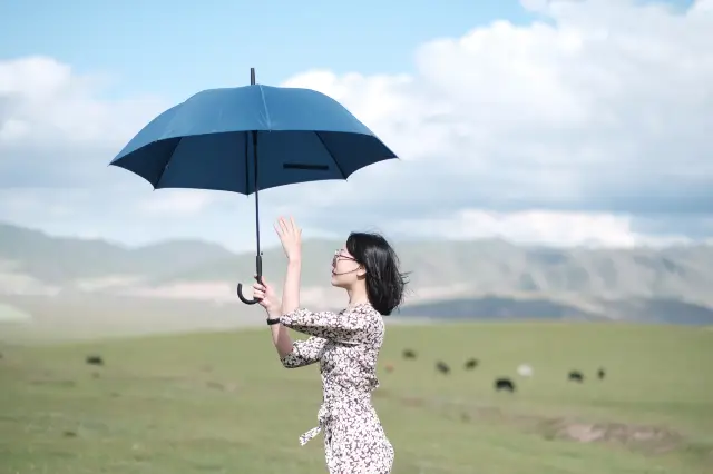 Gannan self-driving small loop, the wind blows the grass low to see cattle and sheep