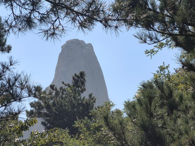 尋找“天下第一壽”——崂山仰口風景遊覽區
