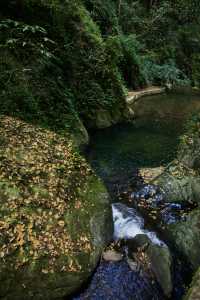 昆明周邊｜玉溪雲海日出哀牢山徒步𝟮天攻略