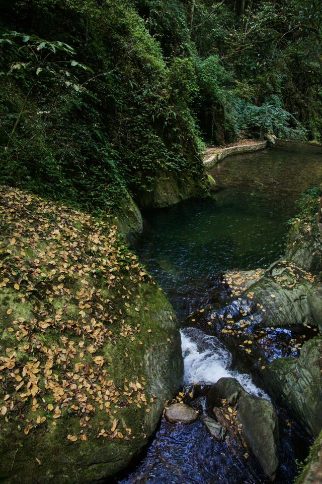 昆明周邊｜玉溪雲海日出哀牢山徒步𝟮天攻略