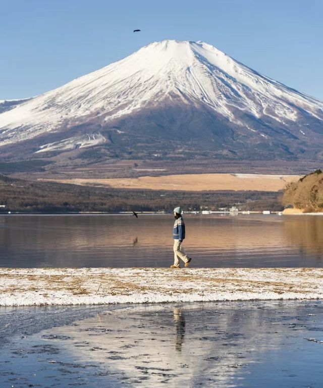 “誰能憑愛意要富士山私有~”