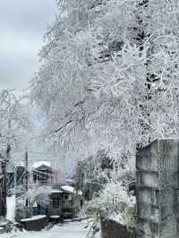 庐山絕美雪景民宿是哪個仙女還不知道