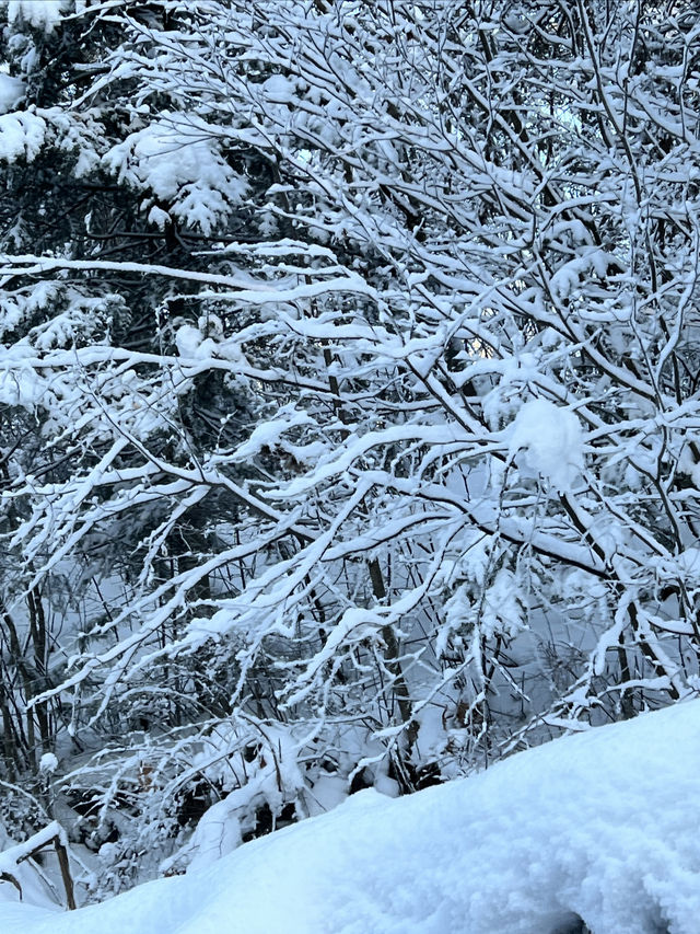 長白山之旅