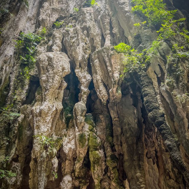 Batu caves? More like beautiful caves!
