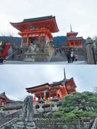 日本京都｜寺廟與神社並存的人文大城