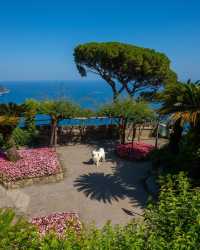 💫✨ SMILE and join Felix on an unforgettable adventure in Ravello, Amalfi Coast! 🇮🇹😍