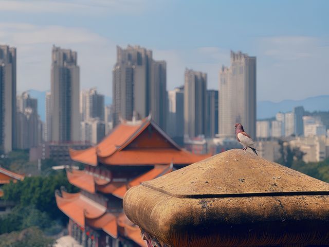 福州必遊•西禪古寺 | 闹市中的千年古刹