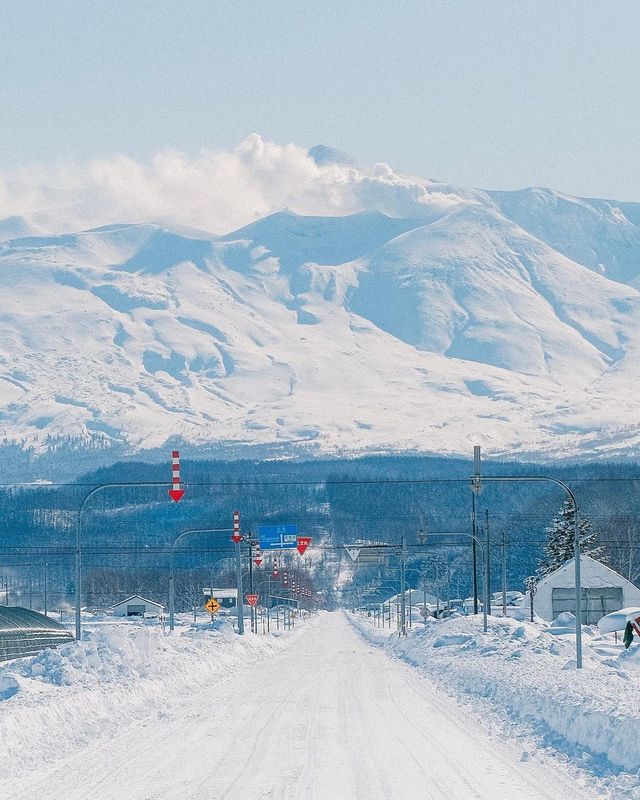 그래요. 올해는 홋카이도 어디로 떠나볼까요❄️