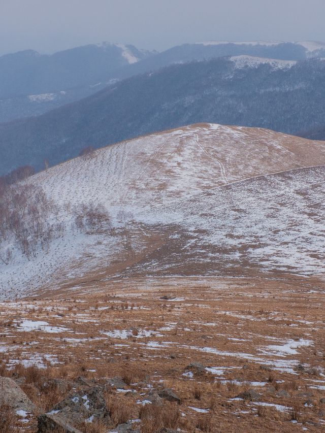 初春崇禮三樑｜又遇風雪交加的山野體驗