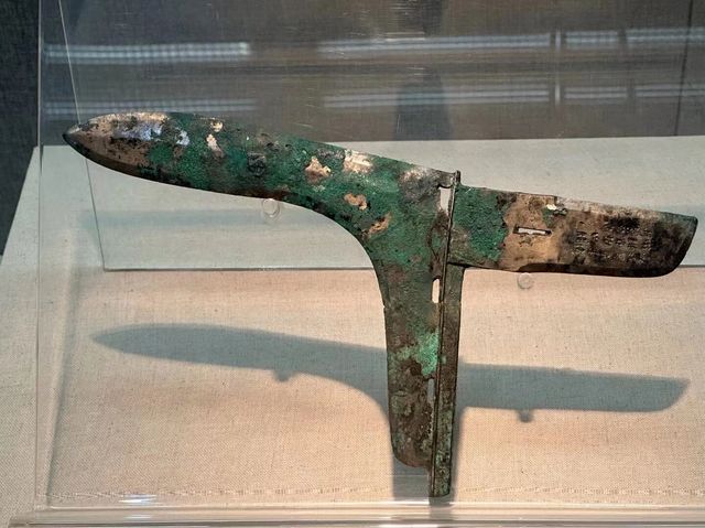 安陽一片甲骨驚天下文字博物館
