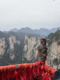 ZhangJiaJie - City of Heaven