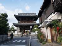 打卡京都清涼寺