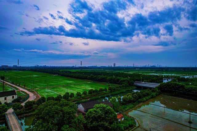 禾下乘涼夢，稻田與晚風