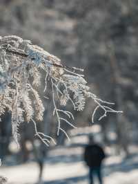 雪地徒步｜老里克湖滿足了我對冰雪童話幻想