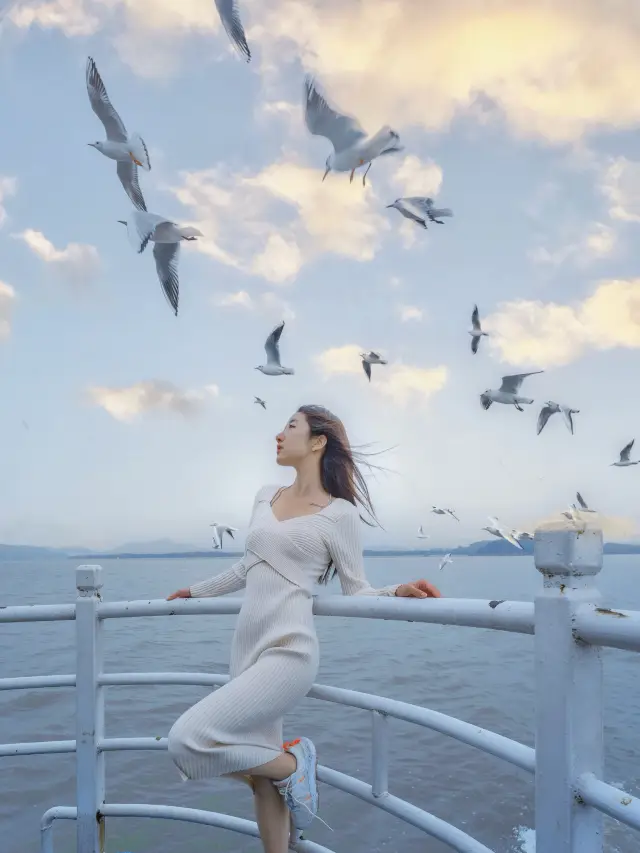 不是大理去不起，是無錫更有性價比