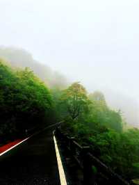 雨天徒步 ｜去山里聽雨 看迷霧森林