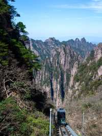 登黃山則天下無山