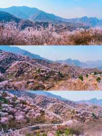 門頭溝醜兒嶺生態觀光園，去了才知道什麼叫美！