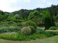 鮮花山谷——登高雲山·雲谷花境