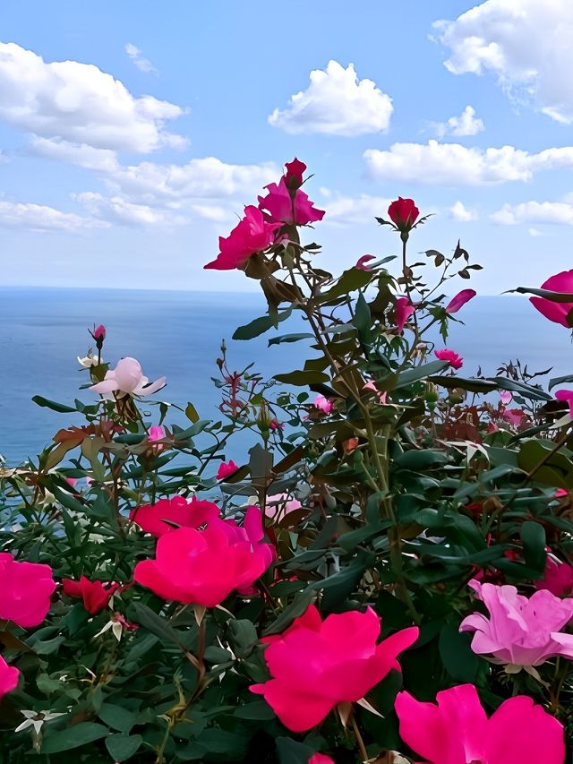 4月27日起｜熱海AkaoForest「花之森林」來啦