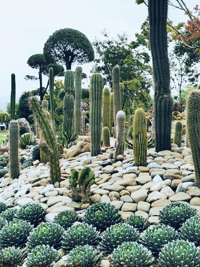 太平湖 | 石漠化公園