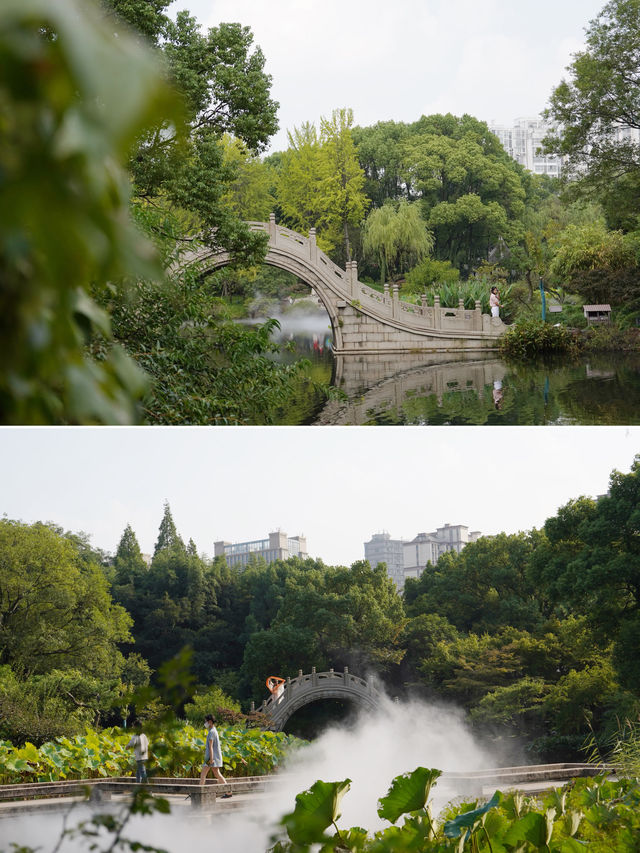 太倉南園：江南園林裡，童趣無限多