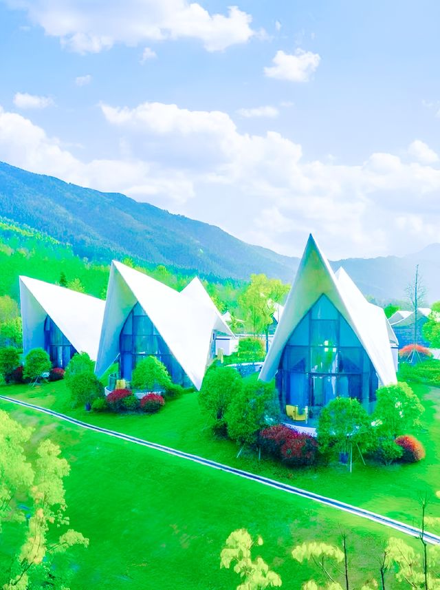 黃山！黃山！來看不一樣的高山美景，美哭了
