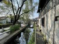 清新 安逸的歇馬橋村