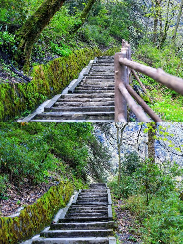 四川—峨眉山三刷全攻略！