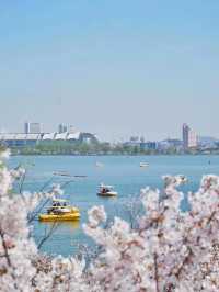 🌊Xuanwu Lake: A Tranquil Oasis in Nanjing 🌸