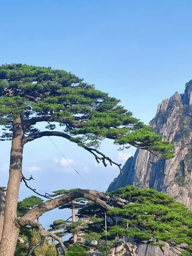 황산의 구름 바다는 정말 절경이다! 구름 바다, 맞이하는 소나무!