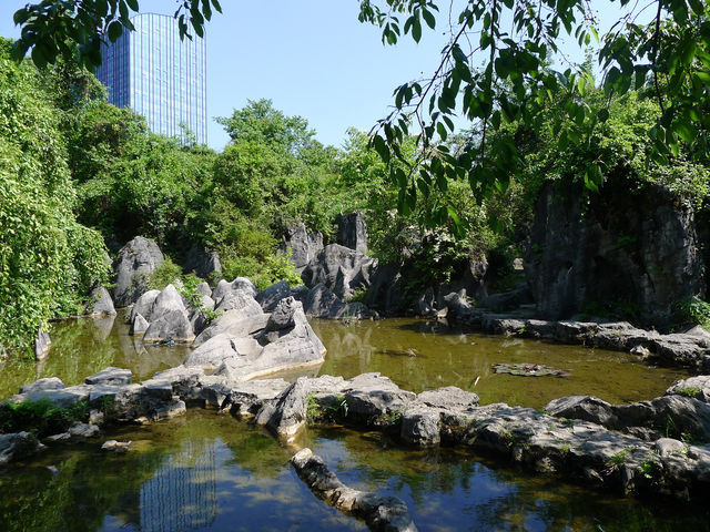 都市森林裡的石林——貴陽喀斯特公園