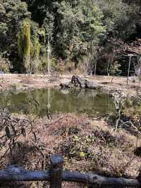 永平寶台山，徒步吸氧的絕佳之地！